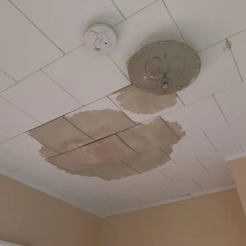 Ceiling Water Damage Repair in Poynette, WI