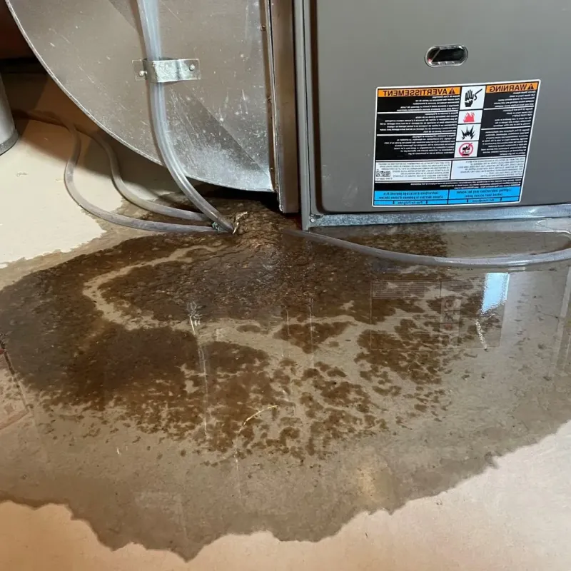 Pipe Burst and Leak Restoration in Poynette, WI